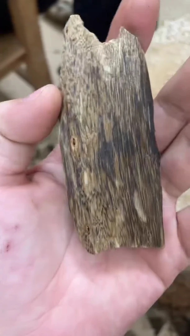 沉香沉香碎屑棋楠沉香 原料文创1