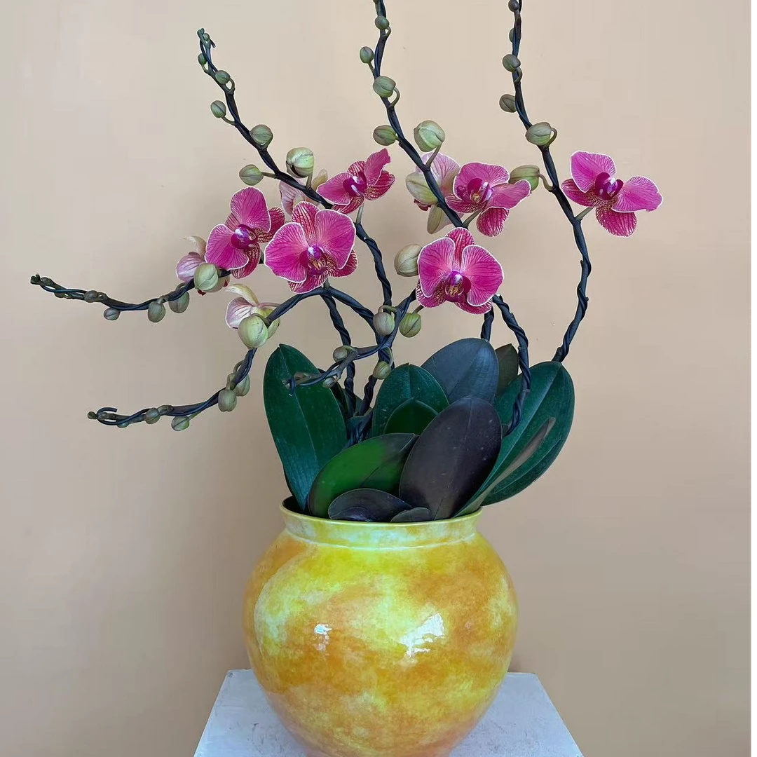 花里兰卡拉波拉艺术造型茶桌盆栽