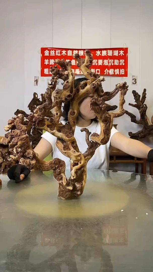 香榧木用****5金丝红木   羊蹄甲