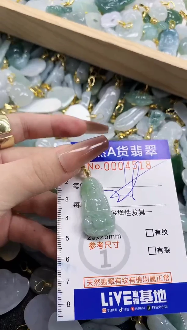 颈饰未镶嵌翡翠天然A货翡翠