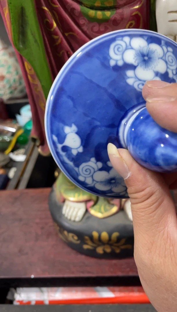 瓷片主播推荐精选好物