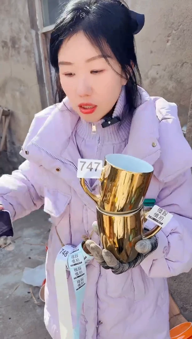 【闪购商品】炻瓷无盖款747【微瑕慎拍】