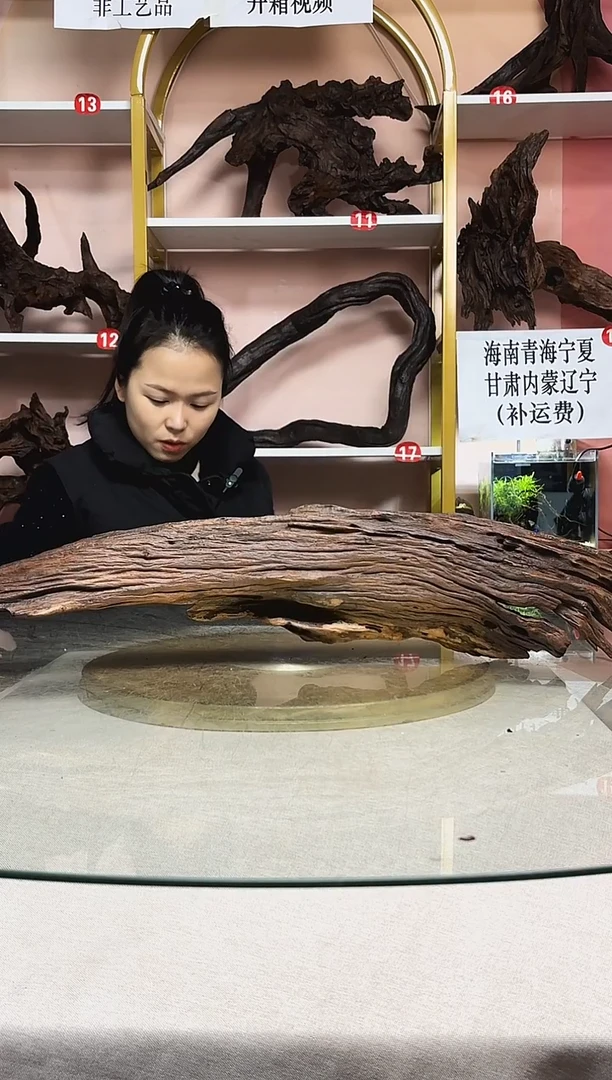 涟*鱼缸造景沉木A881