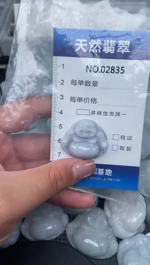 颈饰未镶嵌翡翠纯天然A货翡翠2835