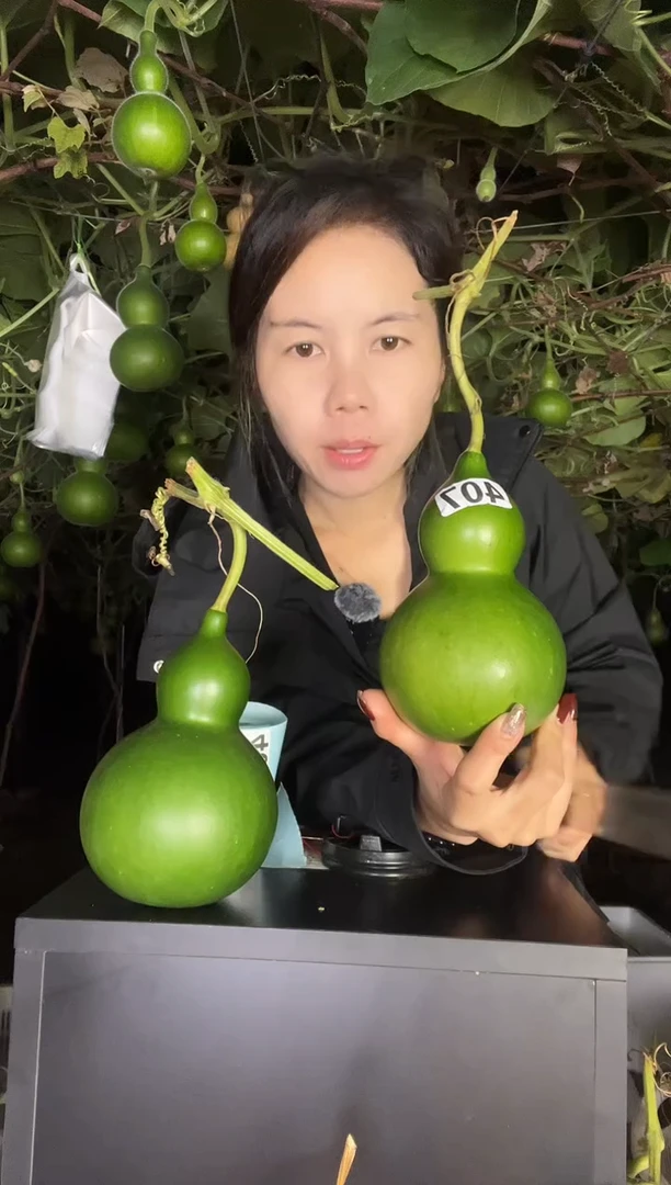 王**行407天然葫芦摆件 一物一拍龙头不保售后