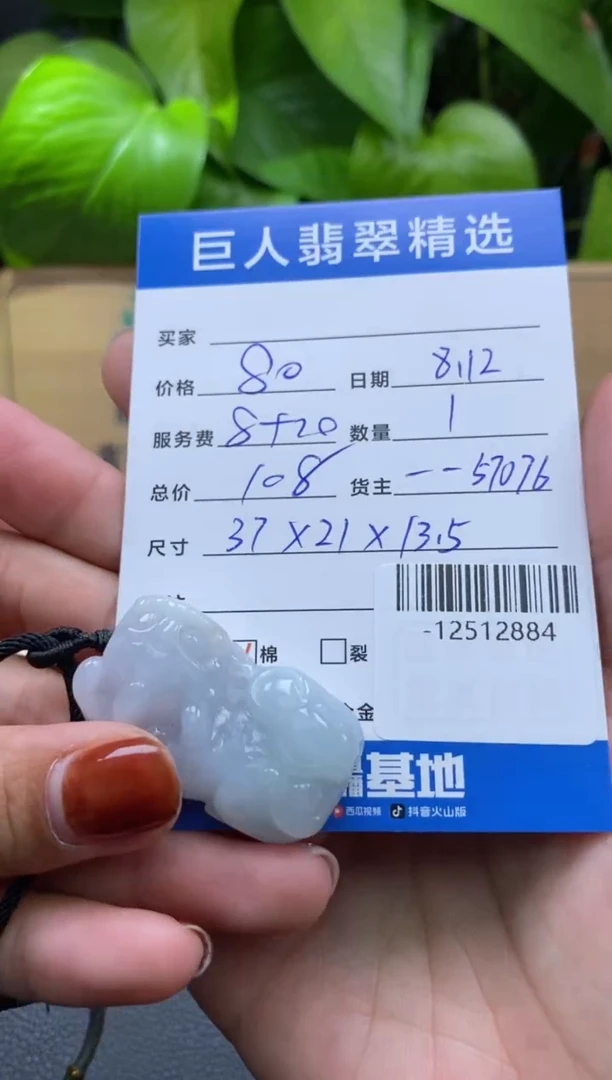 翡翠未镶嵌颈饰多人-12512884