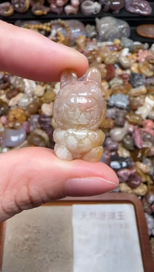 颈饰未镶嵌硅化珊瑚（珊瑚玉）174