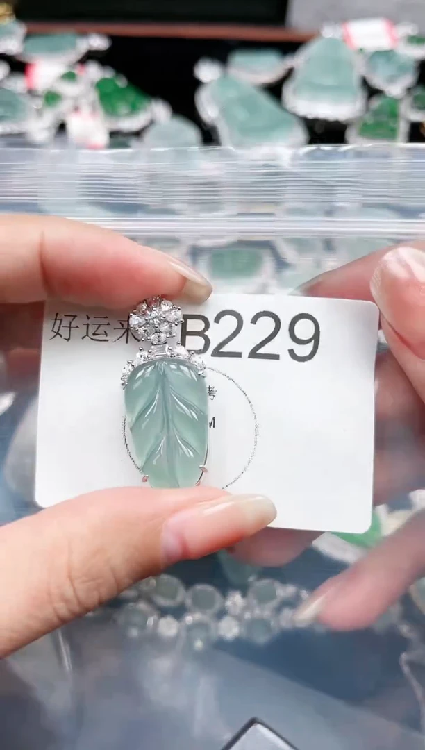 【闪购商品】翡翠颈饰未镶嵌赠皮绳229