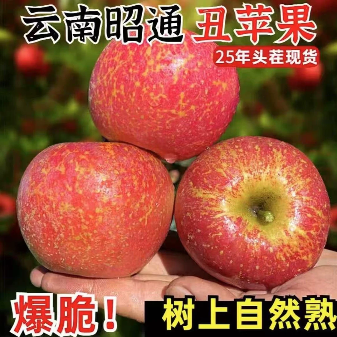 【星球】云南昭通冰糖心红露丑苹果新鲜现摘当季脆甜水果