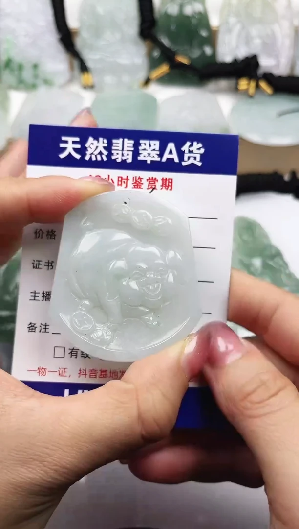 颈饰未镶嵌翡翠