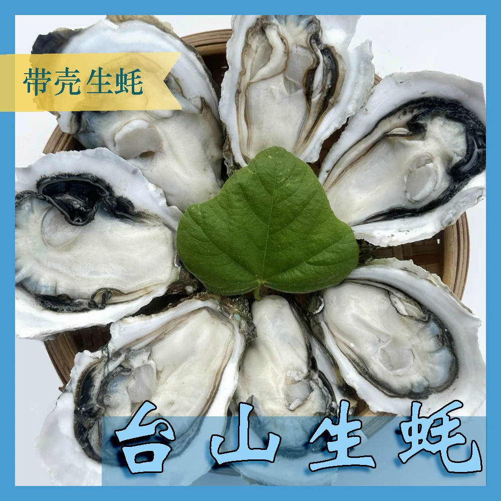 【台山壳蚝】5斤装鲜活生蚝 绿壳白蚝 海产生蚝顺丰冷链直发海鲜