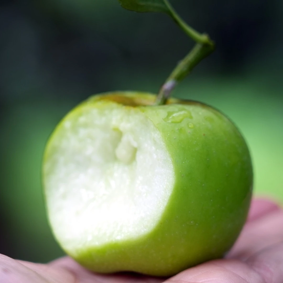 【包邮到家】云南昭通青露纯甜青苹果个头小2.5斤/3斤/5斤净重