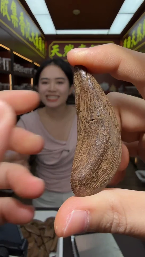 沉香吊坠14号斯里兰卡红土多样性发一