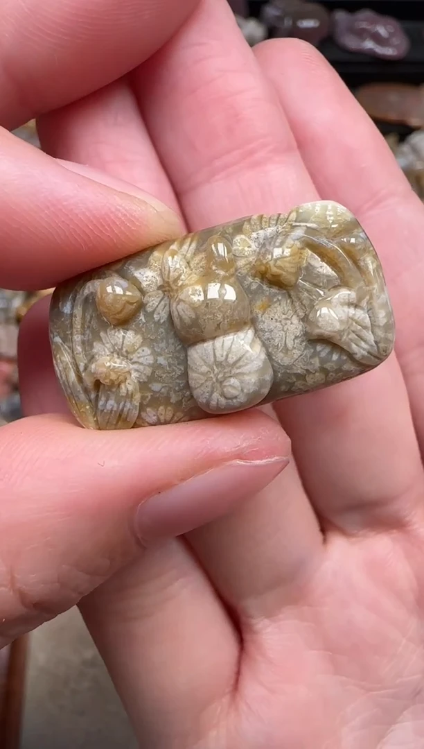 颈饰未镶嵌硅化珊瑚（珊瑚玉）734