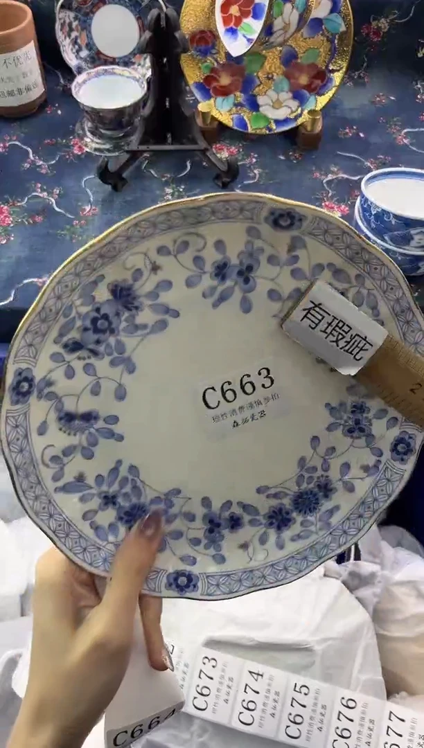 瓷片          C663