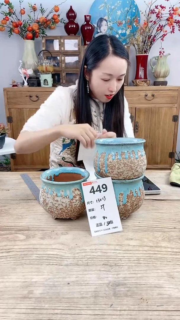 【闪购商品】红陶449