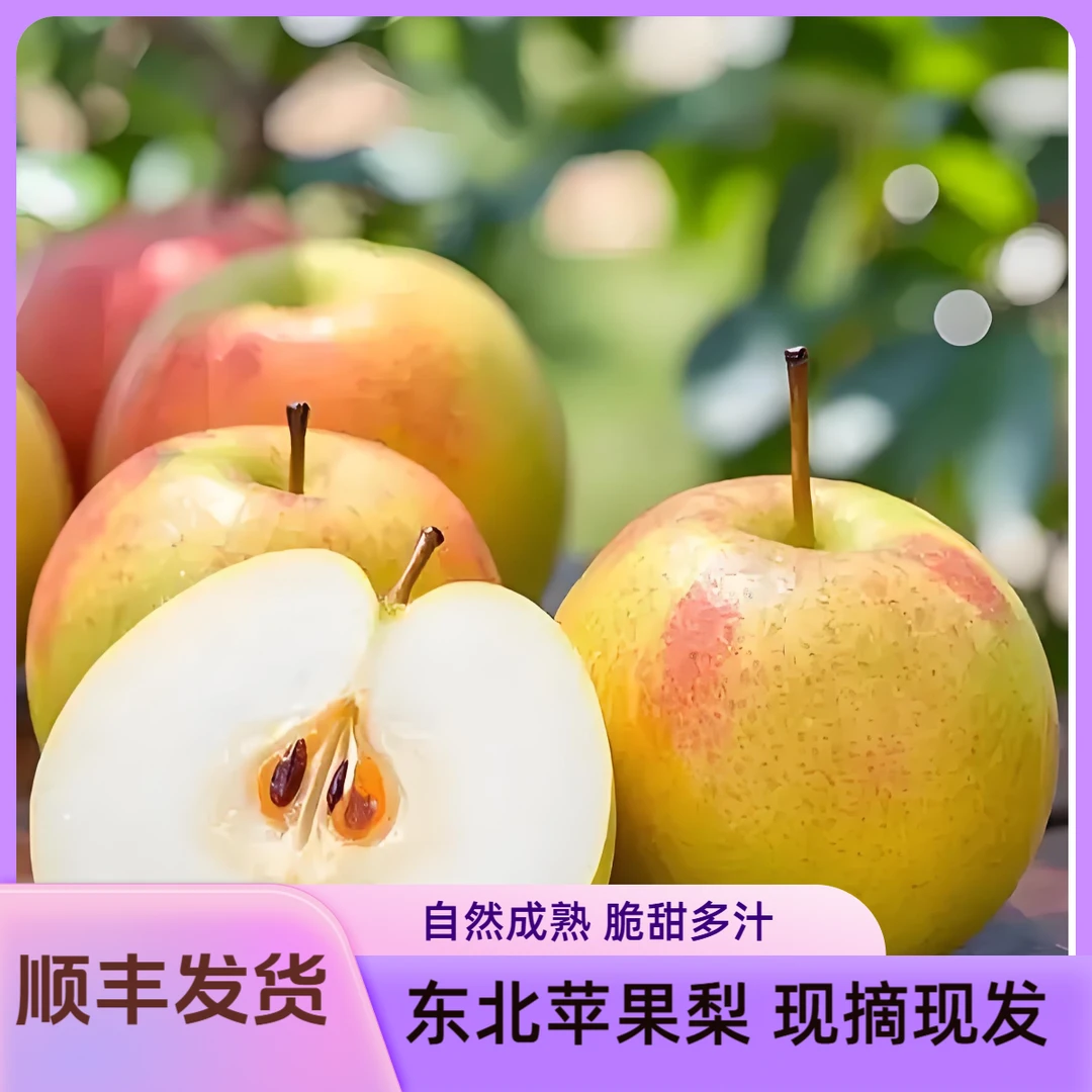 【顺丰发货】东北苹果梨 自家果园 现摘现发 脆甜多汁 应季水果