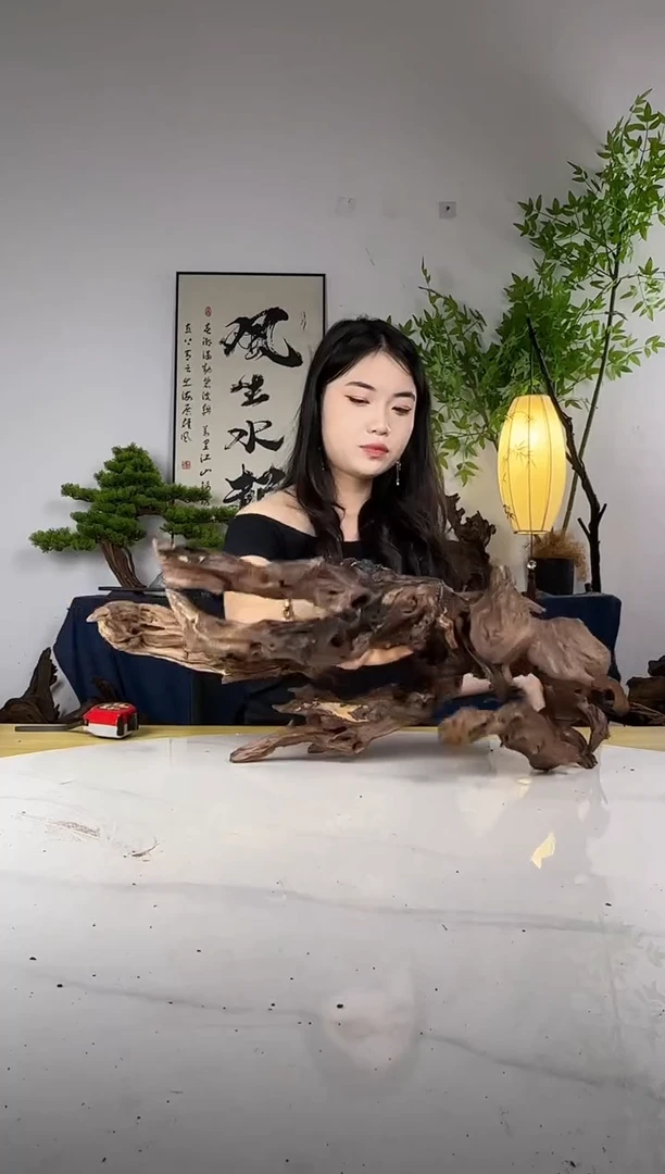 聽*拍这个定向编号104
