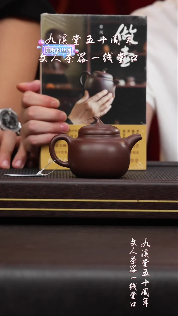 黄龙山原矿紫砂壶22