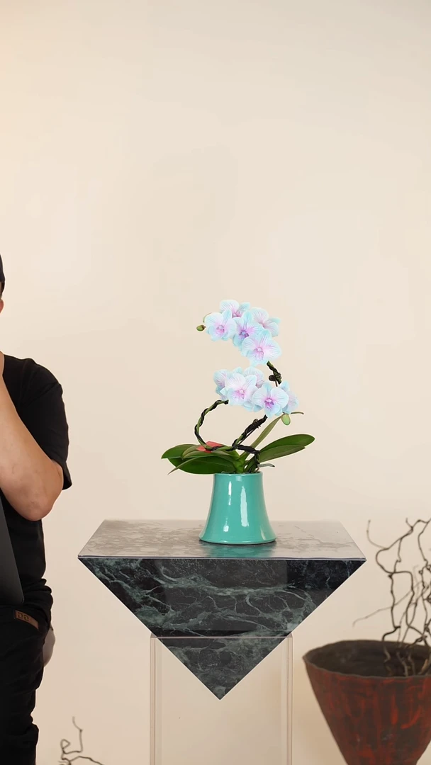 全部花朵014号【一物一拍】蝴蝶兰