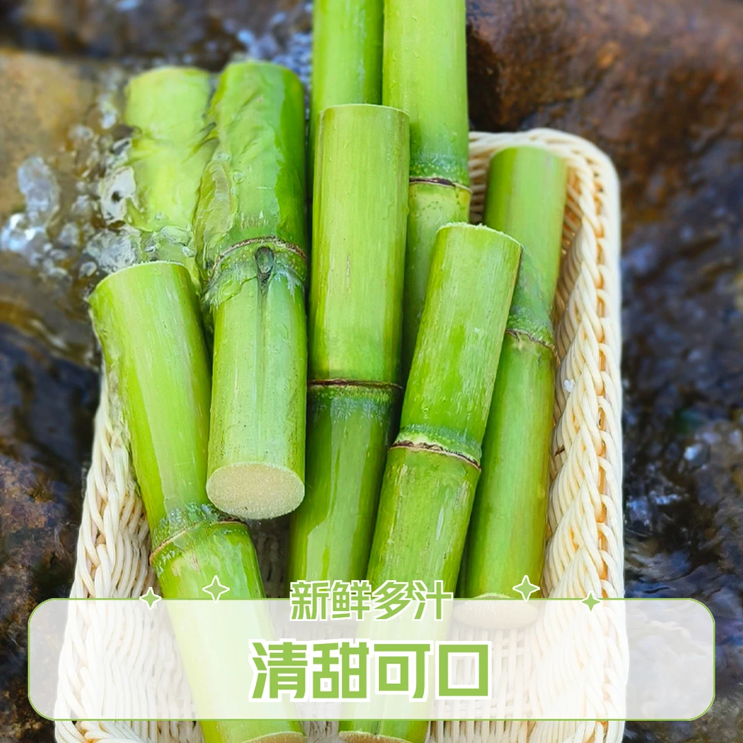 正宗陶山绿皮青皮甘蔗应季精选水果温州特产新鲜果蔗多汁清甜