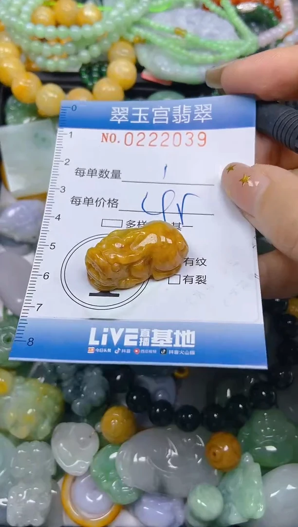 颈饰未镶嵌翡翠闪购C0222039