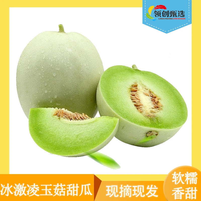 山东冰淇淋玉菇甜瓜净重4.5斤产地直发新鲜水果当季蜜瓜sss