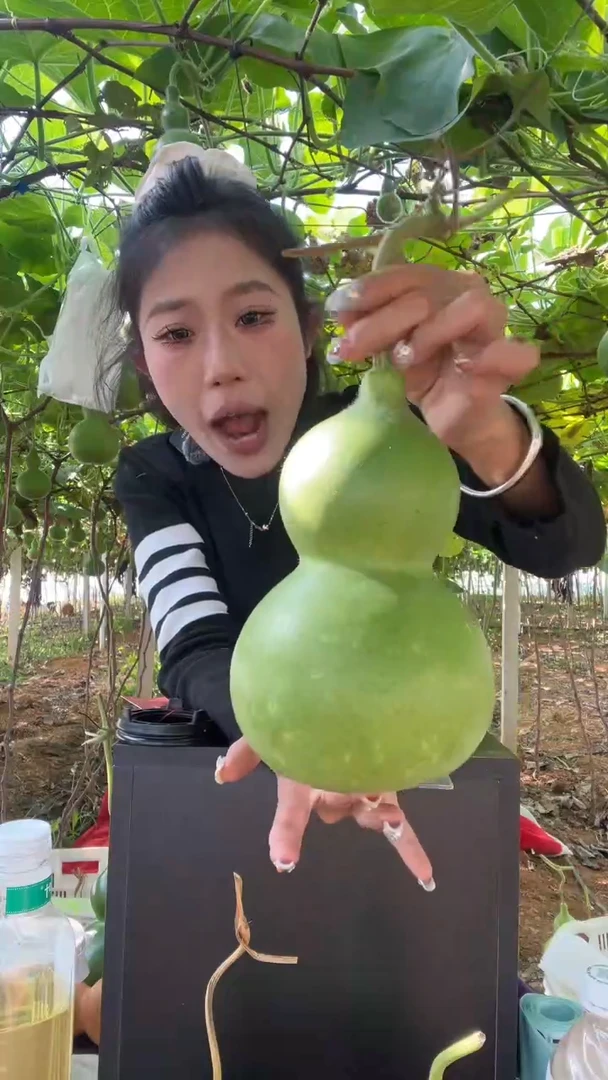 372天然葫芦摆件 一物一拍龙头不保售后两个