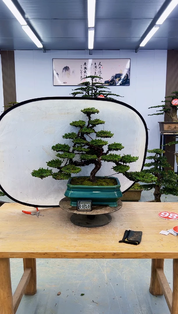 以实际为准0000000