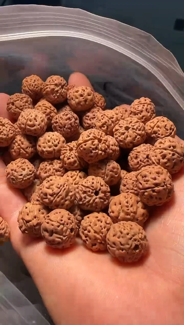 手串金刚菩提非全品平细散籽14-15mm一份一百颗