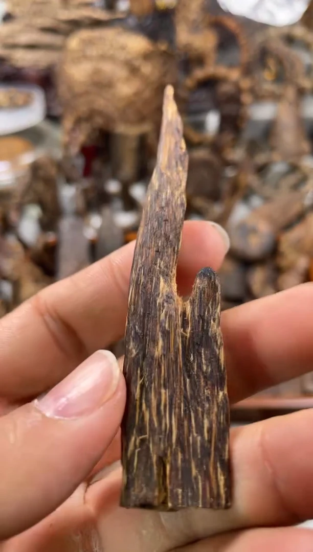 沉香沉香碎屑 达拉干  沉香