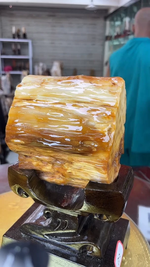 硅化玉珠宝奇石未镶嵌缅甸天然树化玉