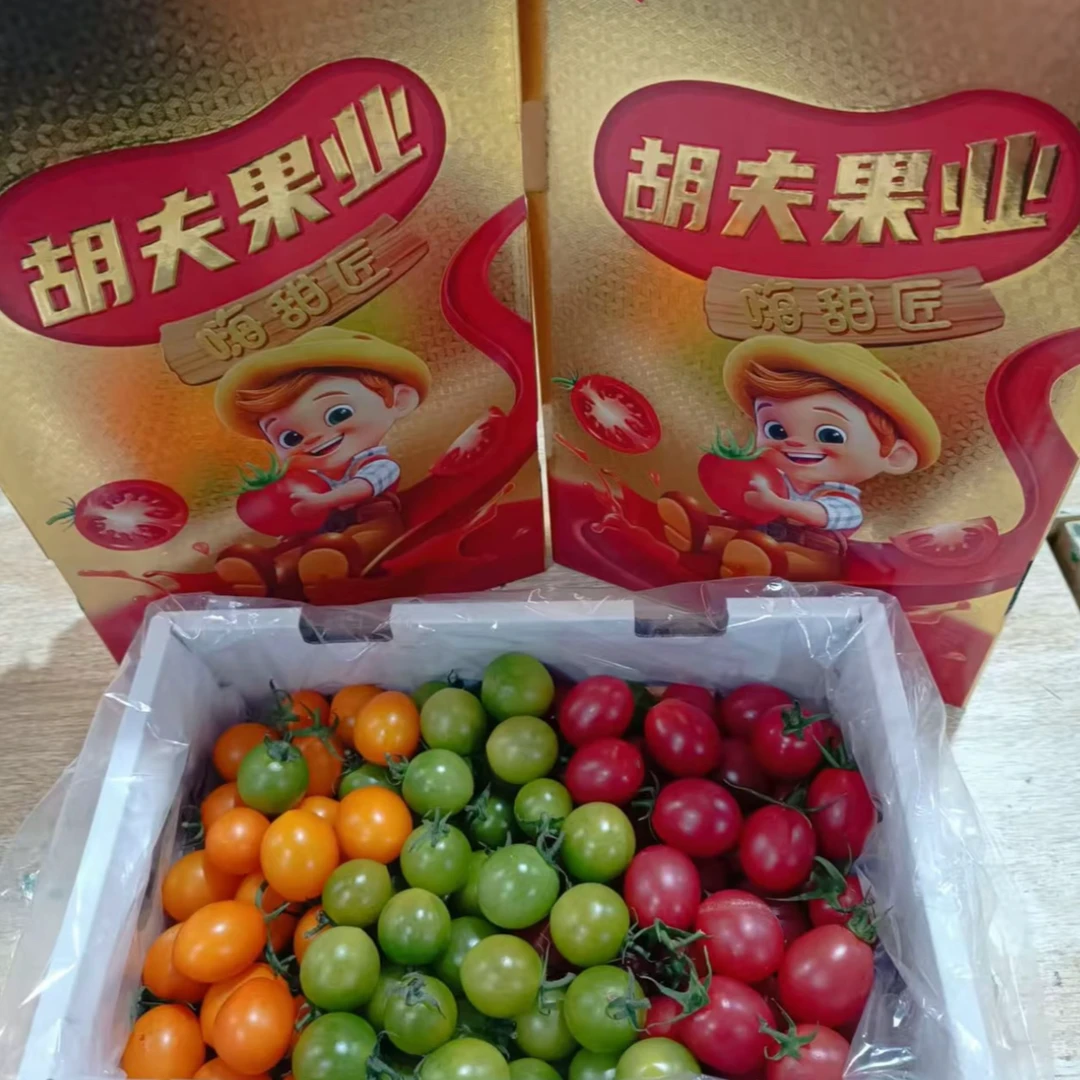 【箱装】三色千禧带箱2.4斤左右多彩樱桃小番茄多彩樱桃小番茄