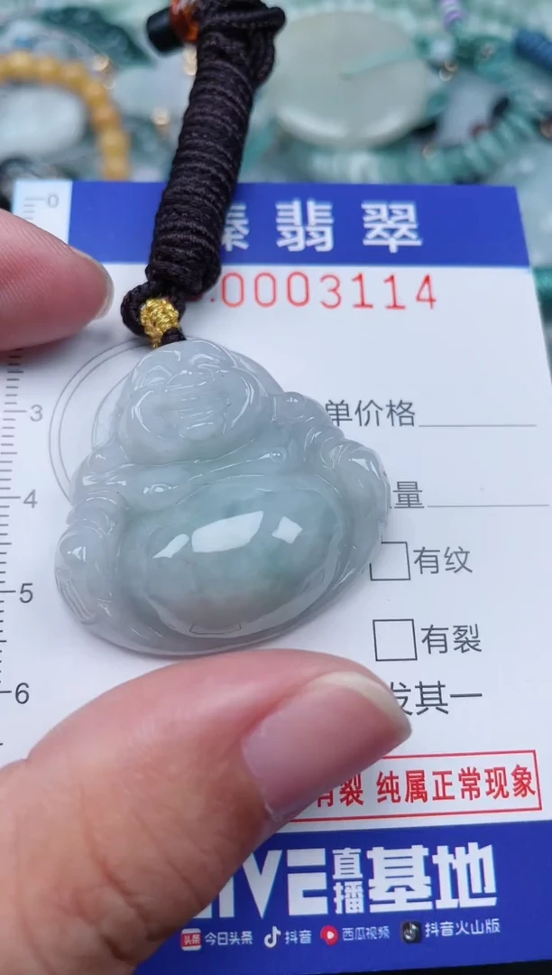 翡翠未镶嵌颈饰.0003114