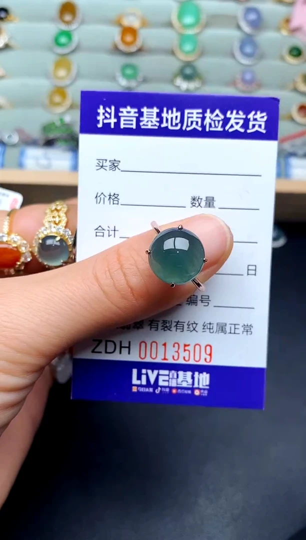 【闪购商品】翡翠戒指银S925镶嵌..............