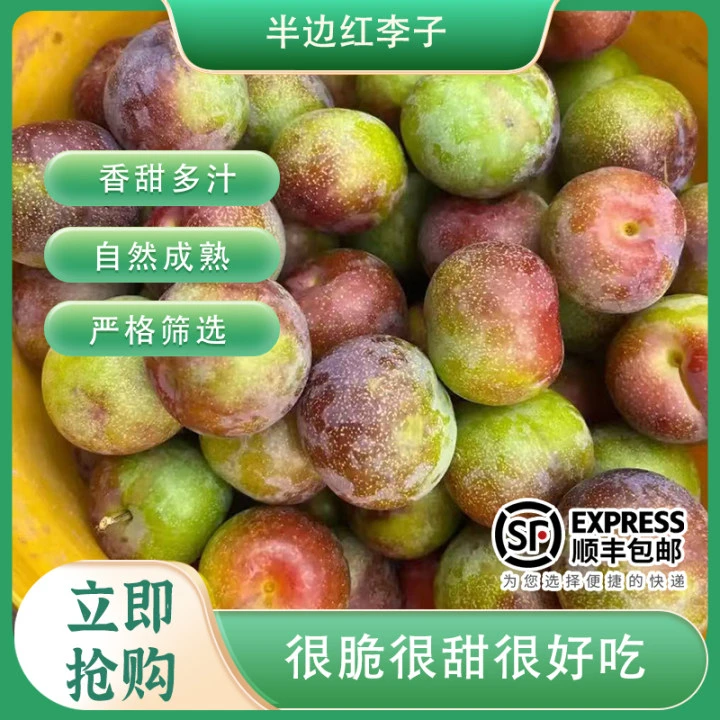 【果园直发】四川半边红脆骨蜂糖李新鲜现摘顺丰包邮恐龙蛋正宗奈李