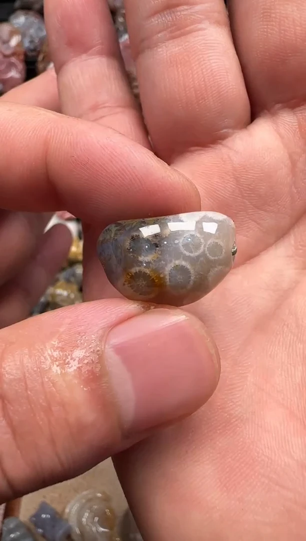 【闪购商品】硅化珊瑚（珊瑚玉）颈饰未镶嵌224