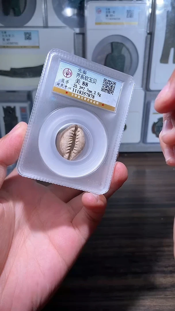 【闪购商品】铜历代 软玉贝软玉贝