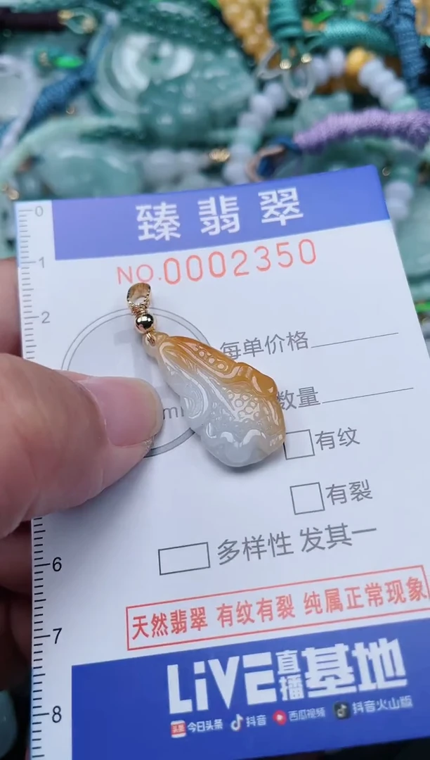 翡翠未镶嵌颈饰.0002350