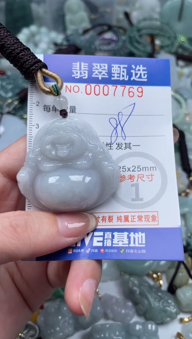 翡翠未镶嵌颈饰00..7769