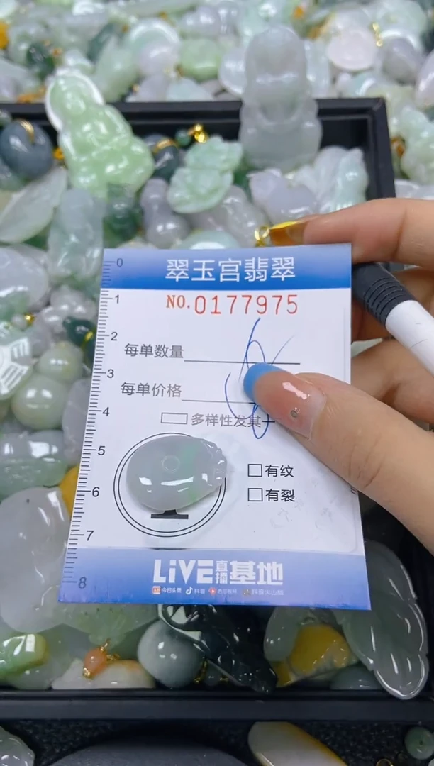 翡翠未镶嵌颈饰闪购0177975
