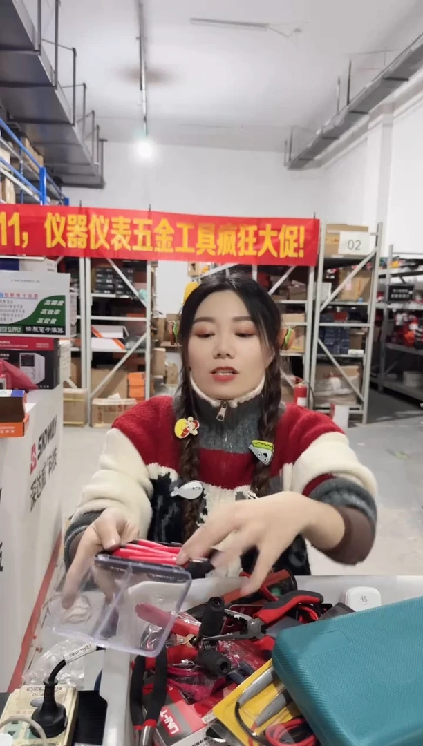 拓利亚SD061004（十）6件精密螺丝批组套