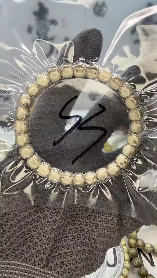 手串星月菩提曹*【一物一图】8/7 绿背河豚 同枝果