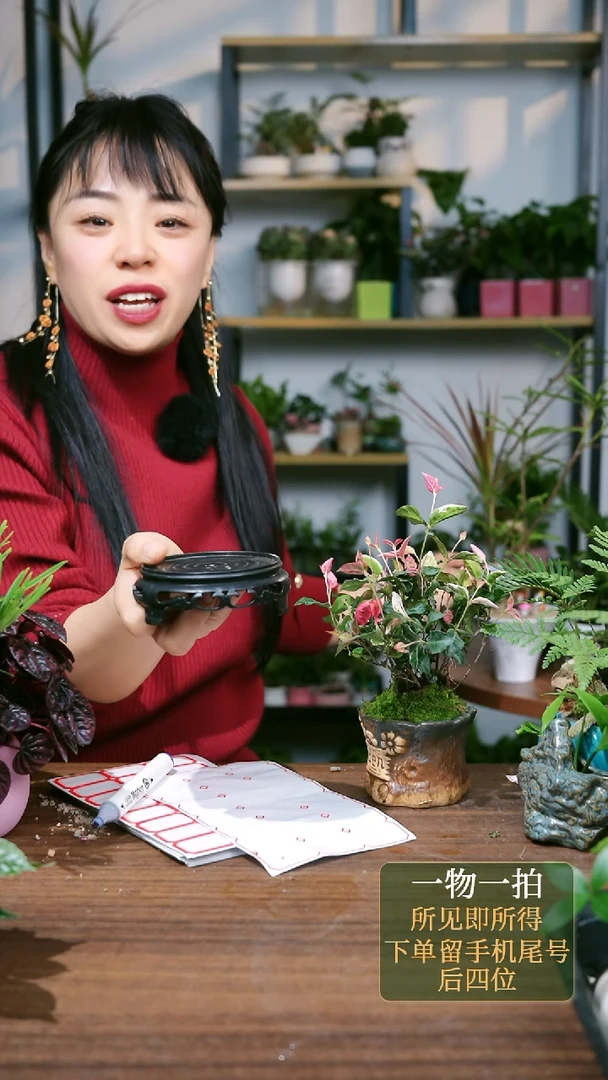 【闪购商品】67--2156络石家