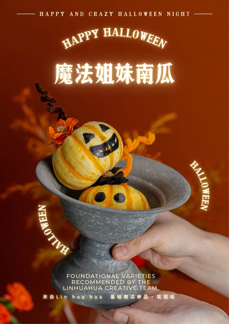 魔法盛宴主题万圣节南瓜鲜花装饰套装 | 稀有南瓜品种搭鲜花包邮