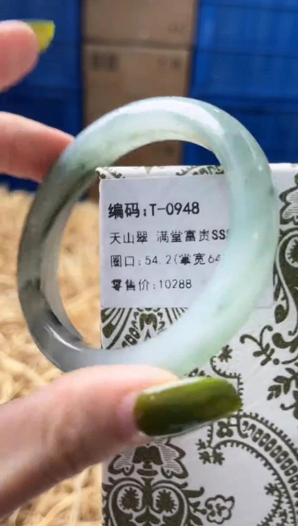 未镶嵌手镯石英质玉T0948