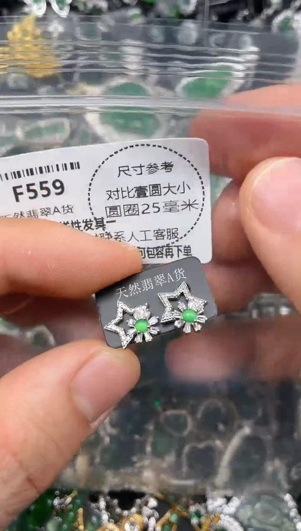 颈饰未镶嵌翡翠F559耳钉