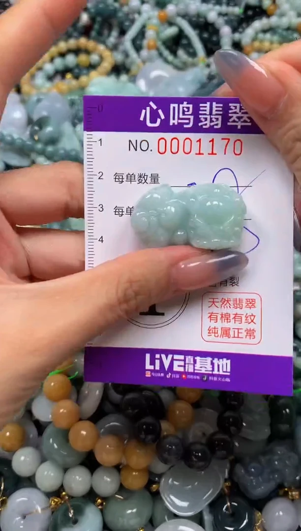 颈饰未镶嵌翡翠闪购001170