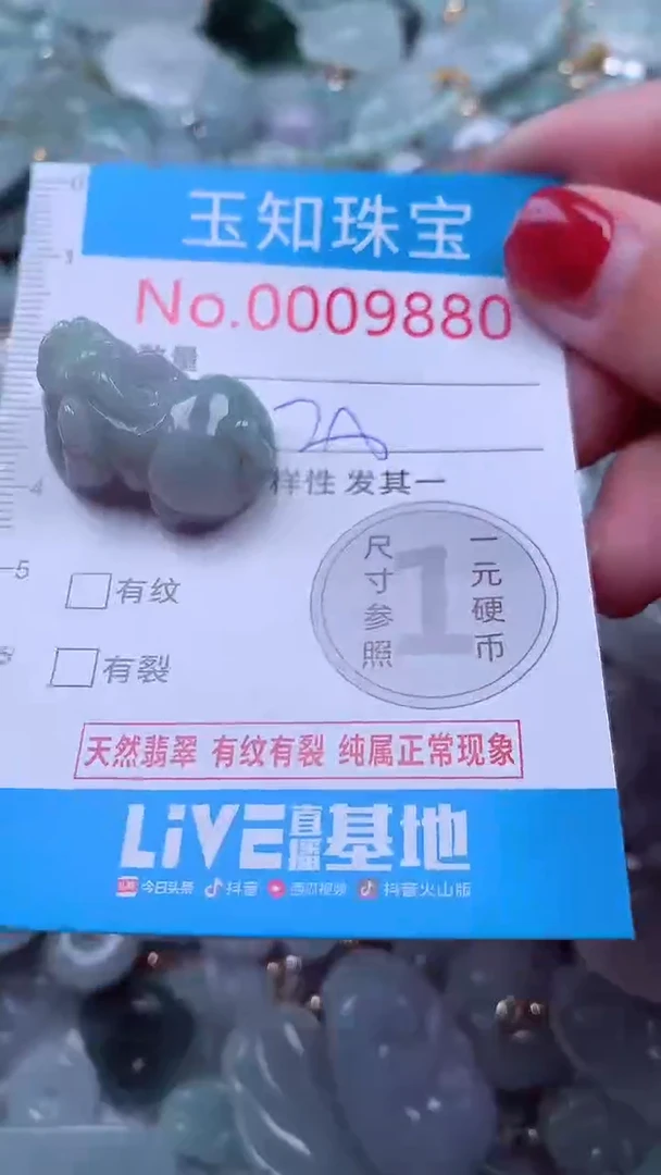 吊坠(不含链)未镶嵌翡翠9880