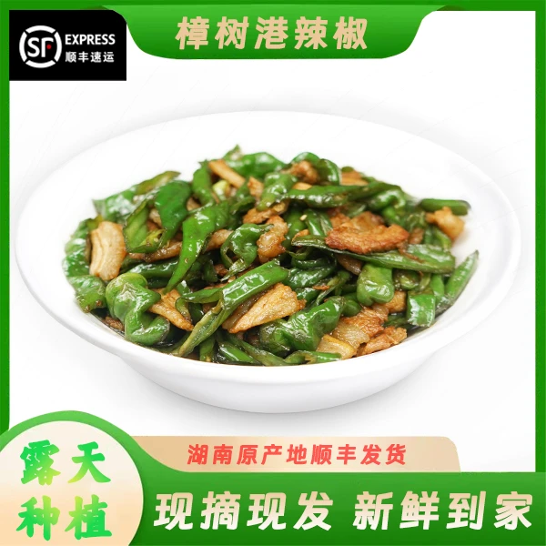 国家地理标志农产品湖南正宗原种樟树港辣椒当天现摘现发有机新鲜辣椒湖南省